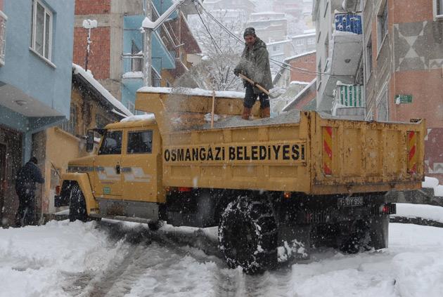 Bursa