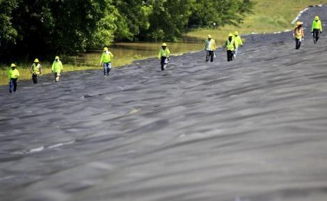 ABD'de Mississippi Nehri'nin taşması sonucu Memphis kentinin büyük bölümü sular altında kalırken, sel sularında çok sayıda yılan ve zehirli böceğin görülmesi büyük panik yarattı.