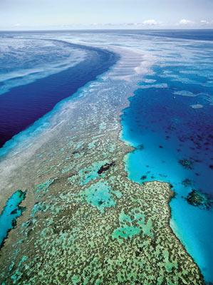 <p><strong>Dünyadaki tüm mercan resiflerinin en ünlüsüdür. Great Barrier Reef, 2.500 km'den daha fazla bir uzunlukta ve 384.000 km kare yüzölçümündedir. 400'den fazla deniz canlısına ev sahipliği yapar. Ne yazık ki, Great Barrier Reef, Hızlı kirlenme ve balıkçılık sebebi ile tehdit altında</strong></p>