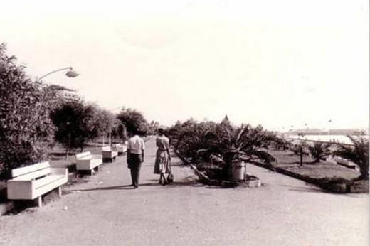 <p>Mersin</p>