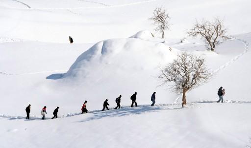 YILIN SERBEST FOTOĞRAFI / 1- ''Kar Sırası''-Yılmaz Kazandıoğlu (Anadolu Ajansı)