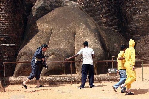 Garip ama gerçek! Sri Lanka'da yaban arıları, insanlarla savaşıyor. Tarihi kaleye bir haftada 3 saldırı yapan arılar 65 turisti hastanelik etti. Rehin turistleri asker ve polis kurtardı