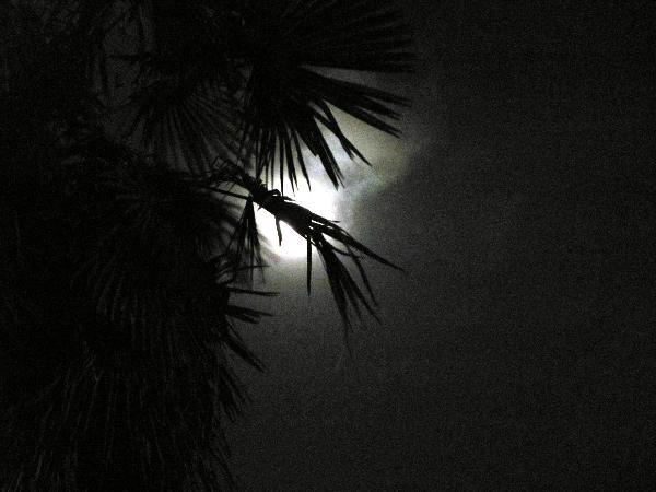 Ay dünyaya en yakın geçişini yaptı