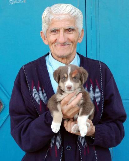 Kastamonu Taşköprü'de Cemal Çalışkan ölen köpeğini evinin bahçesine gömdükten sonra ''Koray'' isimli Fino cinsi köpeği için helva yapıp, dostlarına ikram etti.