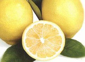 <p>Limon ne zaman sıkılır?</p>
<p><span style="text-decoration: underline;"><strong>Cvp:Yalnız başına kaldığı zaman</strong></span></p>