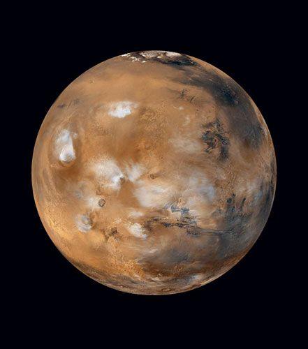 Mars'ta tahta bulundu asparagası!