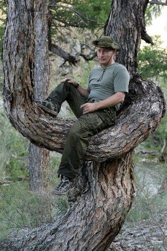 Baykal Gölü'ne mini denizaltıyla dalan, balinanın sırtına verici takan Rusya Başbakanı Vladimir Putin, Türkiye ziyareti öncesi Sibirya'da da şov yaptı. İşte Putin'in Sibirya'ya maceraları