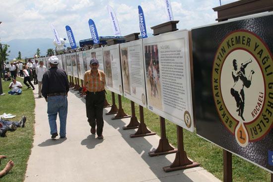 Kocaeli Büyükşehir Belediyesinin ilkini düzenlediği Sekapark Altın Kemer Yağlı Güreşlerinde 58i başpehlivan 567 pehlivan altın kemer için yarıştı.