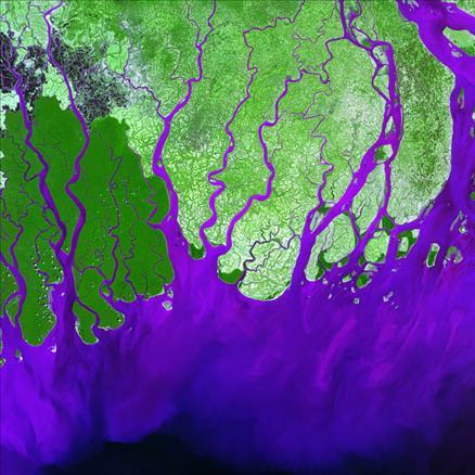 Ganj Nehri, Bengal Körfezine dökülüyor. Körfez, Bengal Kaplanının yuvası olan Sunderbans Ormanları ile kaplı.