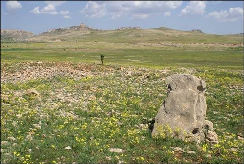 Mardin'de toprağın yüzeyinde Paleolitik döneme ait kalıntılar bulunduğu haberi bilim dünyasını heyecanlandırdı. 3. Derece Sit alanı olan bölgede bulunan kalıntıların kesin olarak hangi döneme ait olduğu kesinleştiği takdirde dünyanın sayılı arkelojik alanları arasında yer alabilecek.