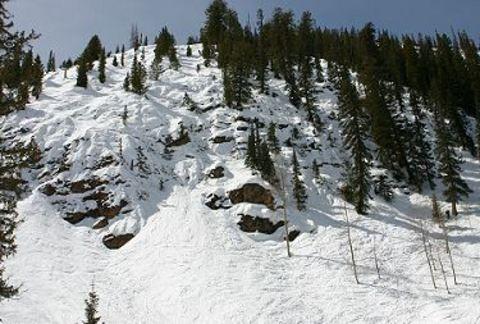 4-Body Bag-Crested Butte Dağı bölgesi (Colorado-ABD)