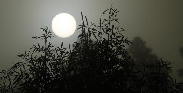 Ay dünyaya en yakın geçişini yaptı
