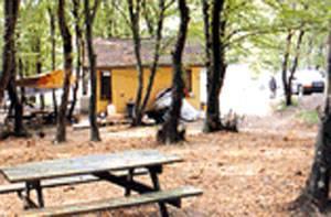 AZİZPAŞA MESİRE YERİ

Maslak, Gültepe, Levent, Kağıthane, Eyüp gibi yerleşim yerlerine yakınlığı, ilginç bitki örtüsü ve geniş piknik alanlarıyla çok tercih edilen bir bölge olan Azizpaşanın girişinde ziyaretçileri düzlükler karşılıyor. İsterseniz bu düzlüklerde piknik yapabilir, isterseniz biraz daha ileri giderek tepelere çıkabilirsiniz. Tepedeki çimenlik saha, özellikle şirket, dernek, okul ve benzeri grupların aktiviteleri için çok uygun. Kafeteryadan piknik için gerekli malzemeleri temin edebileceğiniz gibi, kafeterya mönüsündeki ızgaralardan da tadabilirsiniz.

Nasıl gidilir?

Azizpaşa, Maslaktan aşağı inen Cendere yolu üzerinde sağ tarafta yer alıyor. Bölgeye, Hasdal üzerinden Kemerburgaza gelip sağa dönerek ulaşabilirsiniz.

Tel: 0212 360 30 85