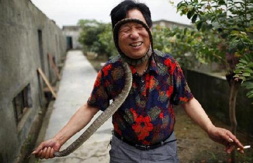 Çinin Zhejiang eyaletinin uçsuz bucaksız tarım alanlarınının içinde saklı olan Zisiqiao köyü 'yılan üretim merkezine' çevirildi. 160 evden oluşan köyde, her yıl üç milyondan fazla yılan üretiliyor.