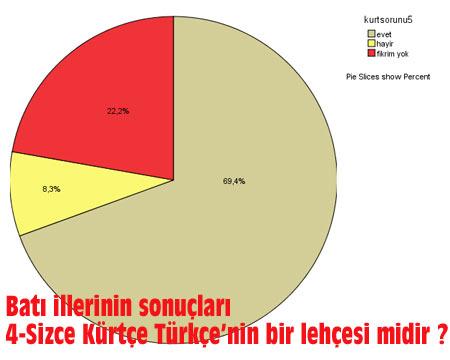 Kürt Sorunu anketi