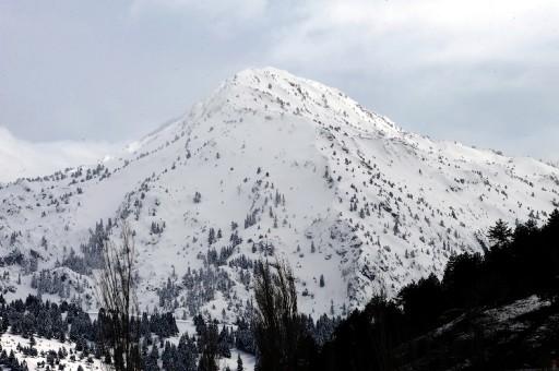 BBP Genel Başkanı Muhsin Yazıcıoğlu ve beraberindekileri taşıyan helikopterin enkazının bulunduğu bölgede ulaşılan cesetler, Skorsky helikopterle Kızılöz köyüne getirildi.