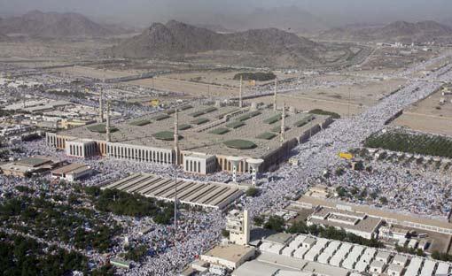 Arafat'ta insan seli