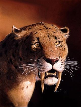 Smilodon