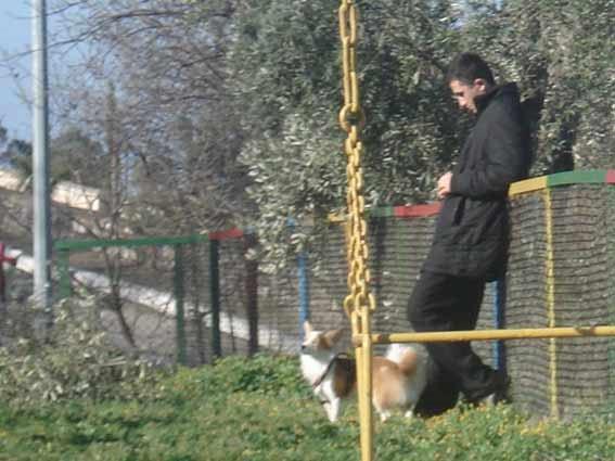 Mehmetçiğe bu da yaptırıldı. Daha önce askerlere kızının evini taşıttırdığı görüntülenen Amiral köpeğini de iki erbaşa zimmetlemiş. Talimat imzalatmış.