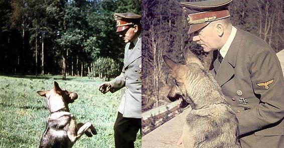 Nazi Almanyası'nın İkinci Dünya Savaşı sırasında zafer kazanabilmek için denediği şaşırtıcı yöntemler ortaya çıkmaya devam ediyor. Hitler'in sıradışı silahı konuşan köpekler.