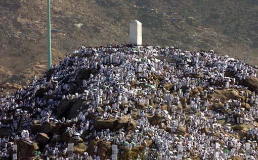 Arafat'ta insan seli