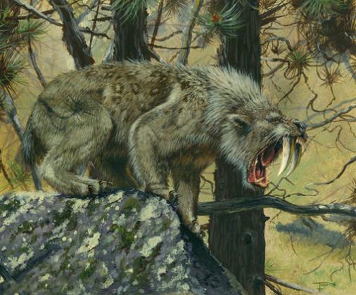 Smilodon