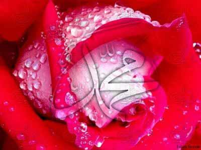 <b>SAHİBU'L TÂC, SAHİBU'L İMÂME</b><BR>
Bu isimde geçen tâc kelimesinden kasıt "imâme" yani "sarık"tır. O halde ismin manası "sarık sahibi" olmaktadır. Sarık, Efendimiz zamanında sadece Araplar arasında kullanıldığından Efendimiz'in bu isimle yâd edildiği ifade edilir.
Bu ifadeler semâvî kitaplarda da geçmektedir.