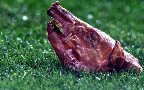 Nou Camp'da 2002'de oynanan ve 0-0 sonuçlanan maçta unutulmaz bir an yaşandı. Her korner ve taç kullanışı sırasında Figo'ya şişe ve çakmak fırlatan taraftarlar, korner atmaya hazırlanan Portekizli yıldıza bir domuz kafası fırlattı. Domuz kafası, Figo'nun birkaç metre yanına düştü.
Barcelona yetkililerinden Jose Maria Minguella'nın maçtan sonra, taraftarlarının masum olduğunu iddia ederek, ''Biz Barcelona'da domuz yemeyiz bile'' demesi yeterli olmadı ve Barcelona kulübüne ceza verildi.