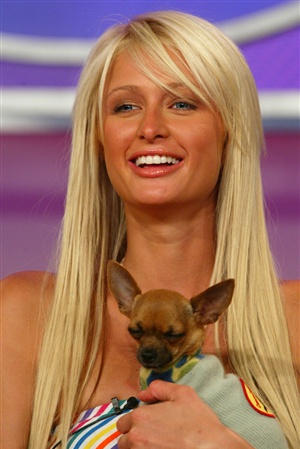 Paris Hilton 2003