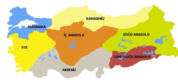 Sağlık Bakanı, kanser vakalarının bölgelere dağılımı konusunda da bilgi verdi. Buna göre 7 bölgede de erkeklerde en çok görülen kanser türü akciğer, kadınlarda ise meme kanseri oldu.