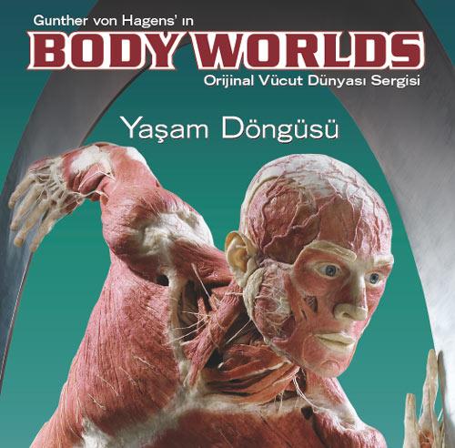 BODY WORLDS sergileri Dr. Gunther von Hagens tarafından oluşturulmuştur.