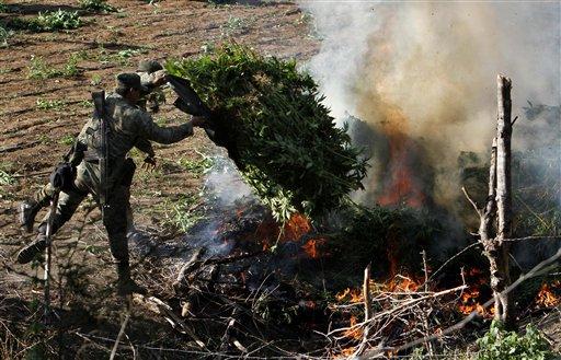 Meksika'da uyuşturucu savaşlarında 45 binden fazla kişinin öldüğü tahmin ediliyor. Yaşanan tüm kanlı savaşlara rağmen ne uyuşturucu kartelleri arasındaki rekabet ortadan kalkıyor ne de güvenlik güçleri ile uyuşturucu tacirleri arasındaki mücadele hız kesiyor.