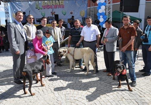 Karamanoğlu Mehmetbey Üniversitesi(KMÜ)de 15 köpeğin katılımıyla Köpek güzellik yarışması yapıldı.