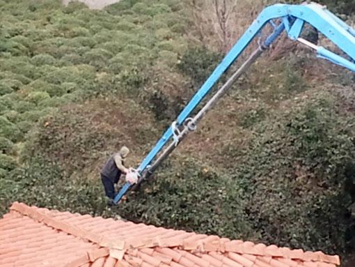 Rize'de bir inşaatta çalışan işçiler, yan bahçedeki ağaçtan mandalinaları beton vinci ile topladı.