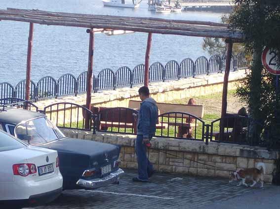 Mehmetçiğe bu da yaptırıldı. Daha önce askerlere kızının evini taşıttırdığı görüntülenen Amiral köpeğini de iki erbaşa zimmetlemiş. Talimat imzalatmış.