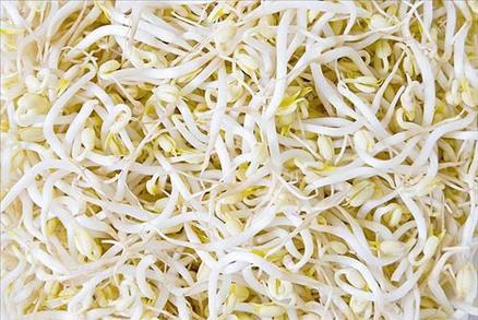 Soya ve soyalı ürünler