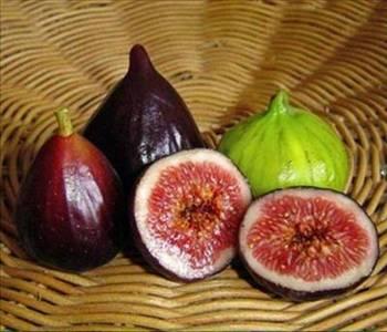 Eğer en sevdiğiniz meyve incir ise, ciddi, düşünceli ve duyarlı bir yapıya sahipsiniz. Sosyalleşmekten hoşlansanız da, belli bir mesafeyi korumaya özen gösteriyorsunuz; kendinize sakladığınız bir alan her zaman olmalı... Açıkgöz, çabuk kavrayan ve cin gibi bir insan olmanız sebebiyle, özellikle iş yaşamında tepeye oynuyorsunuz. İnatçı bir insansınız. Partnerinizde tutkulardan önce beyine bakıyorsunuz.