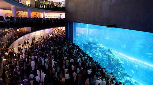 <strong>02- Dubai Mall Aquarium, BAE:</strong> Akvaryum, dünyanın en büyük alışveriş merkezlerinden biri olan 20 milyar dolarlık Burj Dubai kompleksinin bir parçası. AVM'nin tam ortasında bulunan akvaryum 10 milyon litrelik kapasitesiyle dev bir tanka sahip.