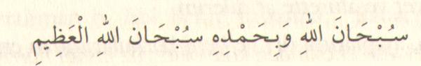 "Allah'ı her türlü eksiklikten tenzih eder ve O'na hamd ederim. Azîm olan Allah, her türlü eksiklikten münezzehtir.'" 142 (100 defa)