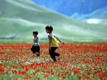 <p><br>Dijital Fotoğraflar 100 Yıl Saklanır Mı?<p><br>
Kağıda Basılır Ya Da Güneş Işınlarından Korunacak Şekilde CDde Saklanırsa, Evet.