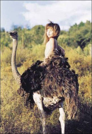 Gerçek Orman çocuğu: Küçük Tippi