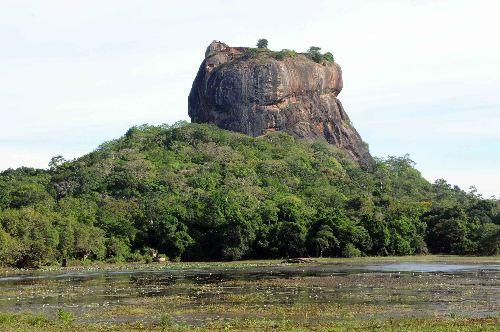 Garip ama gerçek! Sri Lanka'da yaban arıları, insanlarla savaşıyor. Tarihi kaleye bir haftada 3 saldırı yapan arılar 65 turisti hastanelik etti. Rehin turistleri asker ve polis kurtardı