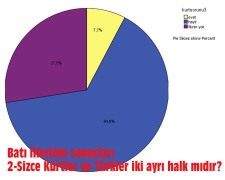 Kürt Sorunu anketi