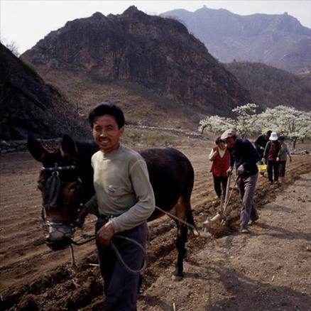 National Geographicin en iyi fotoğrafları 2007-2008