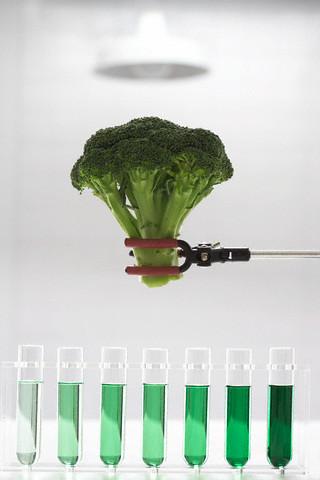 C Vitamini: Çok kuvvetli bir antioksidan olan C vitamini, aynı zamanda güçlü bir kollajen yapıcıdır. C vitamininden zengin turunçgiller, çilek, brokoli, karnabahar, yeşil biber gibi sebze ve meyveler de kollajen yapımında önemli rol oynarlar.