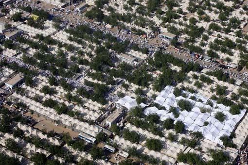 Arafat'ta insan seli