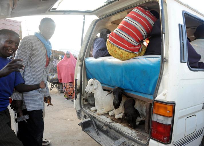 Somali'de çoğu zaman hayvanlarla yolculuk yapan halk, otobüs içinde yolculuk yapınca fazla para ödediklerinden dolayı tehlikeli yollara başvuruyor.

Ücretlerin Türk parası karşılığı 1 TL'ye yakın olduğu minibüs yolculuğundan kapıdan sarkarak ya da aracın üzerine binerek gidenler ise sadece 50 Kuruş ödüyor.