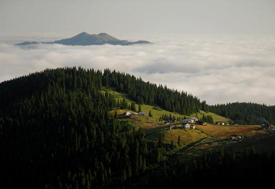yayla