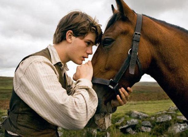 War Horse