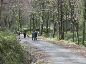 FATİH ÇOCUK ORMANI - PARKORMAN
İstanbulun içinde yer almasına karşı karmaşa, koşuşturma ve tanıdık metropol problemlerinin tamamen dışında kalan, özellikle çocuklar için düzenlenen etkinlikler ve onlara özel alanlarla çok sayıda ziyaretçi çeken Parkormanda, spordan müziğe, sanattan sosyal etkinliklere kadar günün 24 saati etkinlik düzenleniyor. Sloganı Dört mevsim eğlencenin merkez üssü olan Parkormanda, mekânlar kurulurken ağaç ve bitki örtüsüne de dikkat edilmiş. Bisiklet, kros ve yürüyüş gibi aktivitelerden sonra havuzda serinleyebilir, akşam yemeğinizi canlı müzik eşliğinde yiyebilir ya da çam ağaçlarının altına uzanıp sadece kendinizi dinleyebilirsiniz. Tercih sizin.
Nasıl gidilir?
Parkorman, Maslaktan Sarıyere uzanan Büyükdedere Caddesi üzerinde bulunuyor.
Tel: 0212 328 20 00